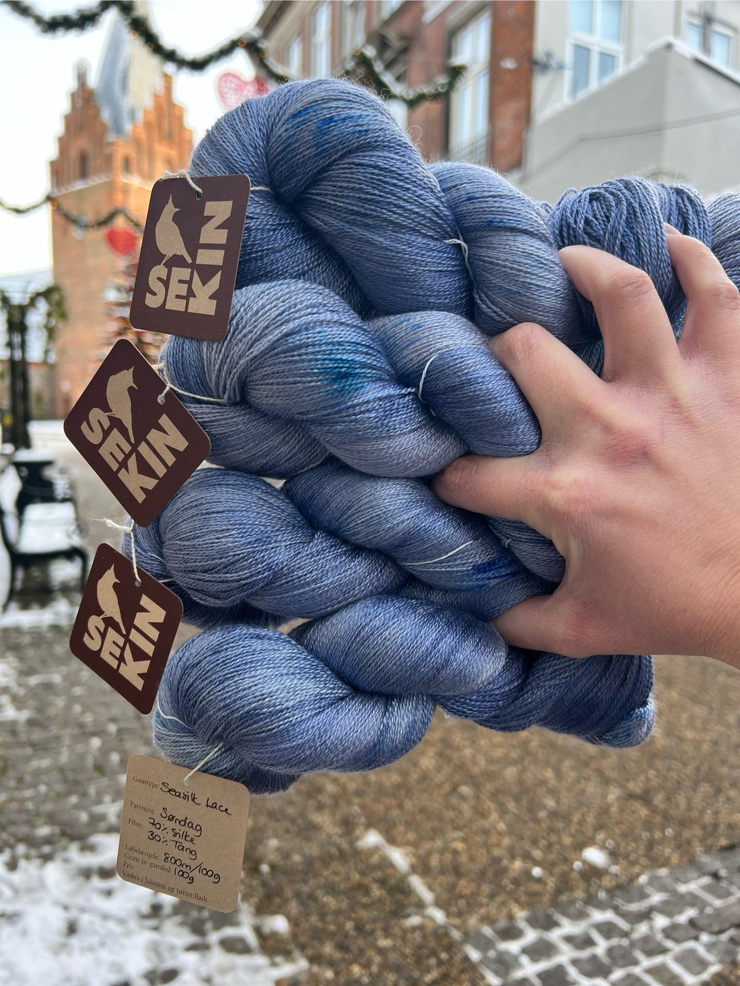 Sequin Hand Dyed Seasilk Lace 100g - Sunday