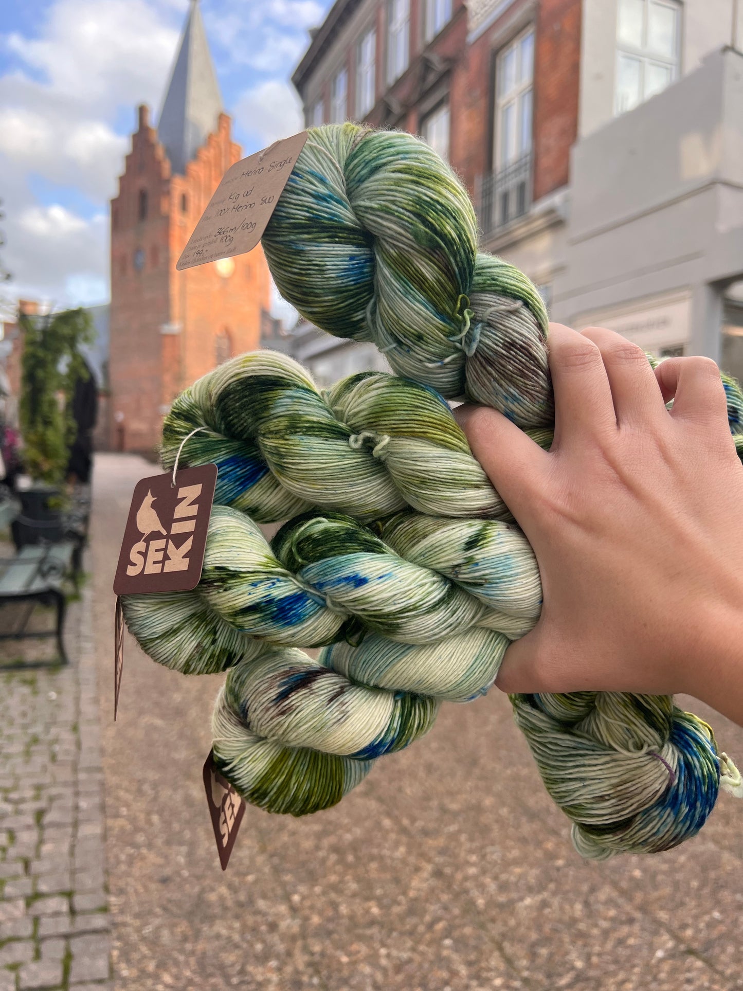Sekin Håndfarvet Merino Single 100g - "Kig ud"