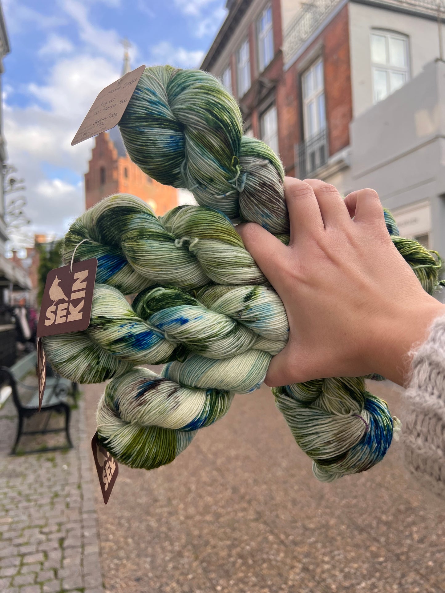 Sekin Håndfarvet Merino Single 100g - "Kig ud"