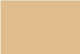 Dharma Fiber Reactive Dye - Brune nuancer Sekin