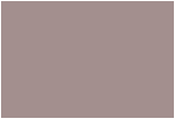 Dharma Fiber Reactive Dye - Brune nuancer Sekin
