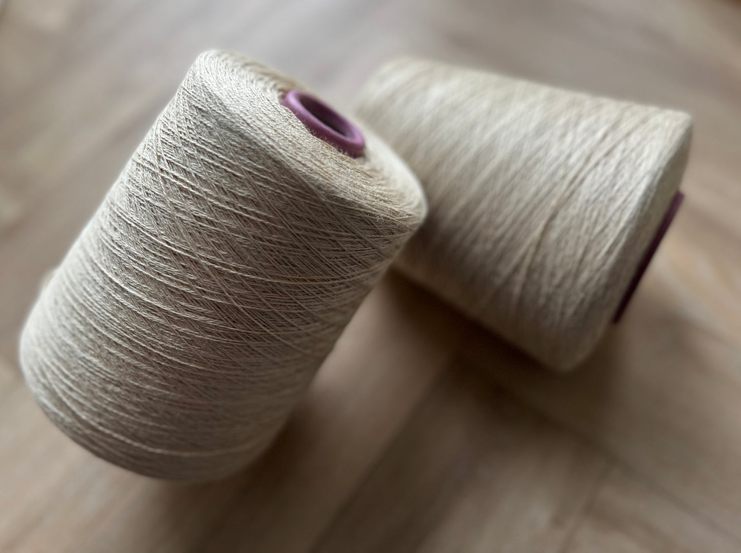 SWISS MOUNTAIN SILK | Tussah Silke 600g Cone - 20/2nm